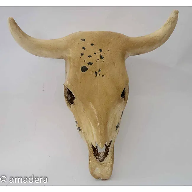 Crânes de vaches en terre cuite - Artisanat mexicain - Amadera
