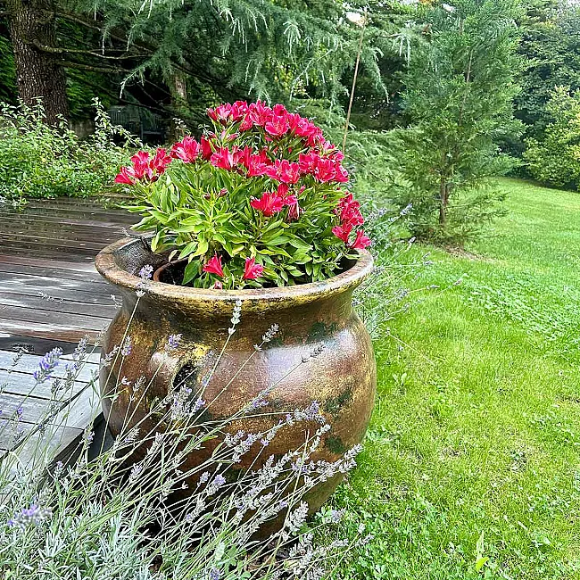 Olla reina grande poterie en terre cuite artisanale